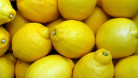 citrony lemons-2039830 1280